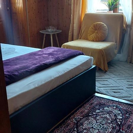 Apartmán Διαμερισμα Χωρητικοτητασ Μεχρι 4 Ατομων Κεντρικα! Metsovo Exteriér fotografie