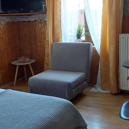 Apartmán Διαμερισμα Χωρητικοτητασ Μεχρι 4 Ατομων Κεντρικα! Metsovo Exteriér fotografie